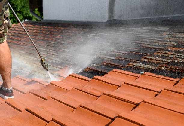 Best Roof Power Washing Services  in Dothan, AL