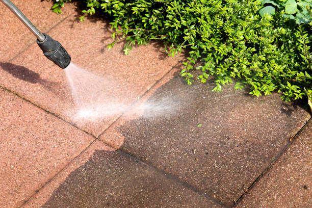 Best Pressure Washing Near Me  in Dothan, AL